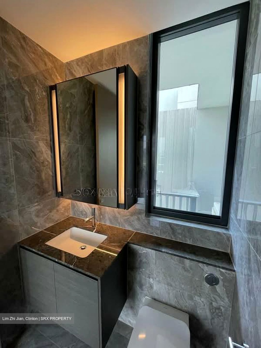 Leedon Green (D10), Condominium #559040271